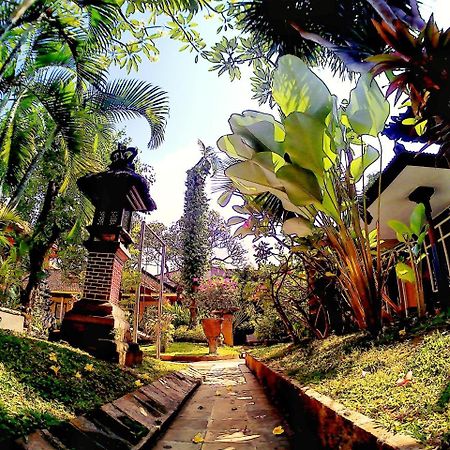 Surf Doggie Inn Kuta Lombok Zewnętrze zdjęcie