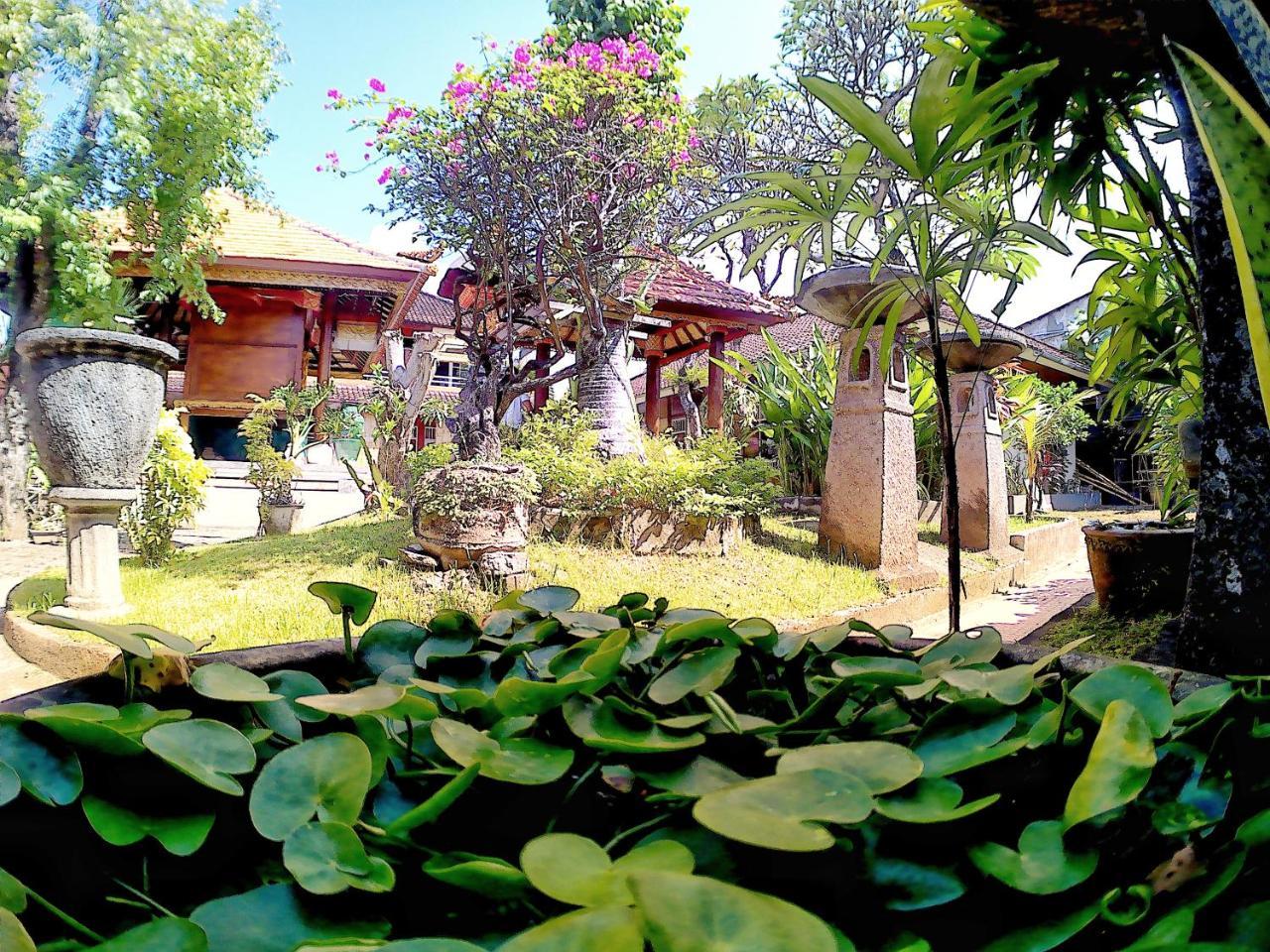 Surf Doggie Inn Kuta Lombok Zewnętrze zdjęcie